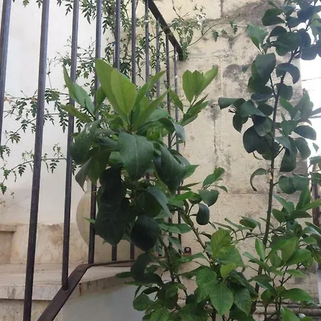 Appartamento Casa San Pietro