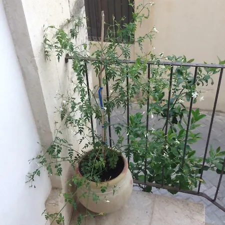 Casa San Pietro Appartamento